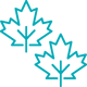 two maple leaves_5724661_turquoise